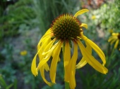 DSC08196.JPG